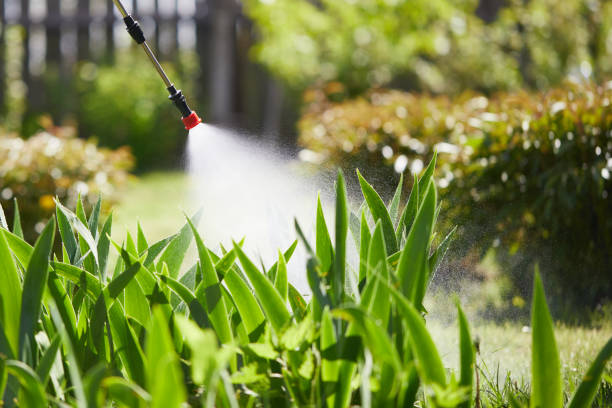 24/7 Emergency Wasp Removal experts in Juneau, AK