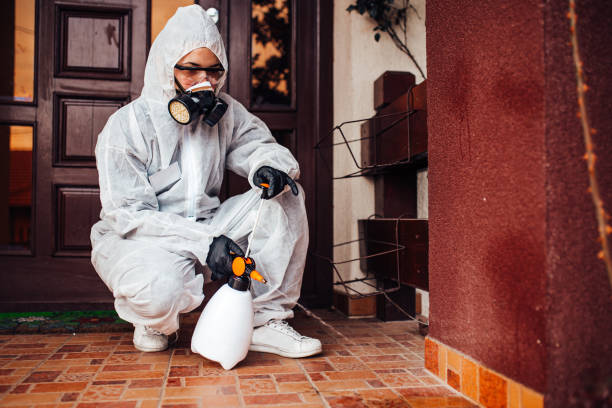 Reliable Wasp Removal contractor in Juneau, AK by Show Me Pest Control